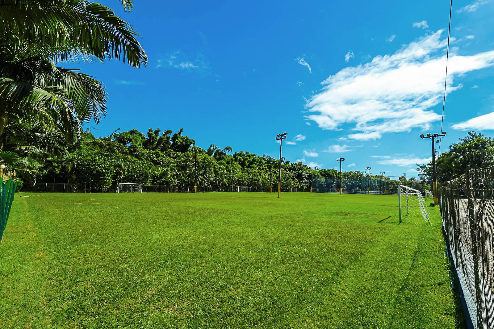 Campo de Grama