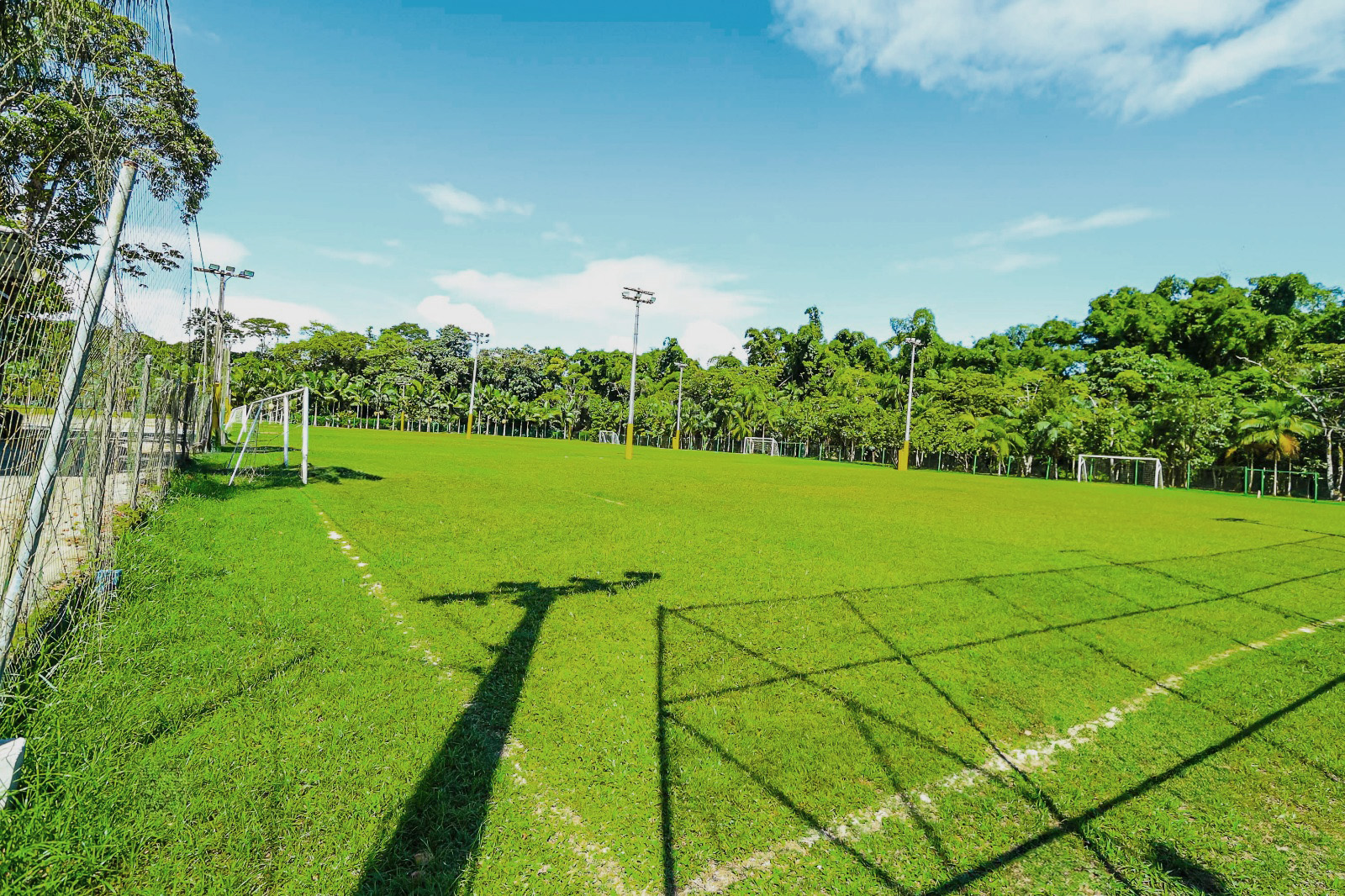 Campo de Grama